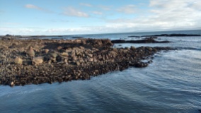 Rocky shore of Galway Bay